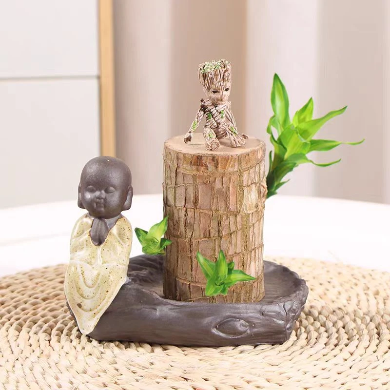 巴西木水养幸运木适合场景展示养护清新饱满水培长期养活简约产品