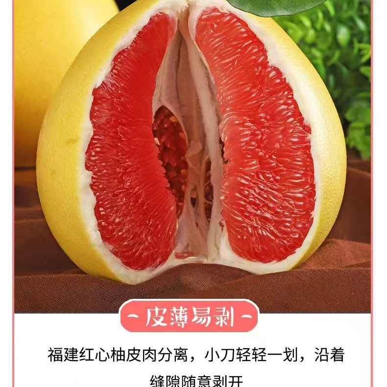 【福建平和老树蜂糖红心柚】8新鲜采摘红心蜜柚孕妈妈柚子3.5-9斤