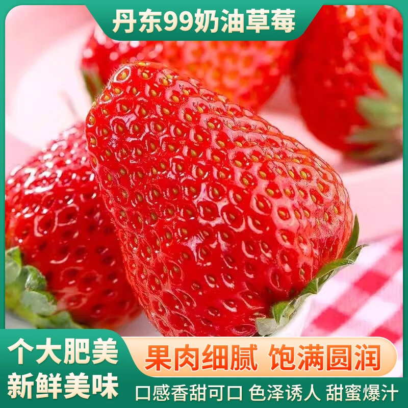 丹东99奶油大草莓应季新鲜水果九九甜牛奶草莓现摘现发空运2斤起