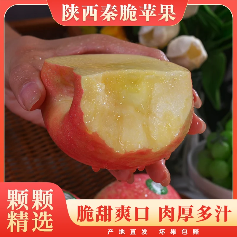 正宗陕西秦脆苹果新鲜当季水果皮薄肉脆甜嫩多汁苹果精选3斤起