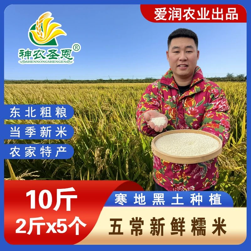 神农圣恩正宗东北五常糯米江米 农家种植 真空家庭装（2斤X5）10斤