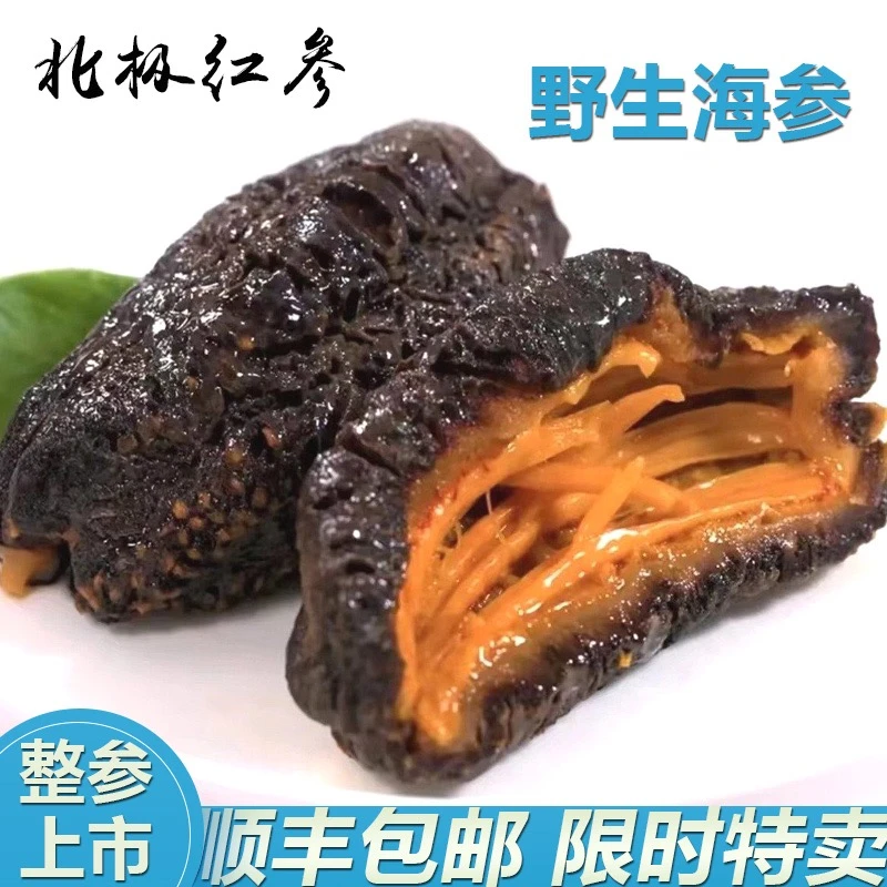 【小宇粉丝福利】红极参5斤装 送风铃＋5包参鲍汁 化冻食用顺丰包邮