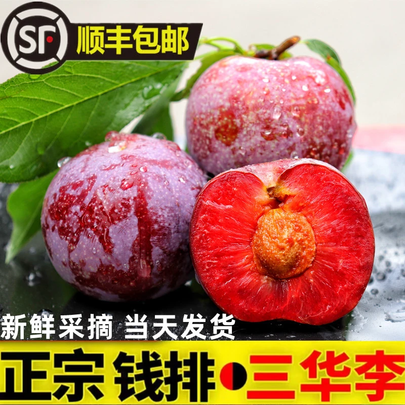 【顺丰包邮】早熟三华李红心李尝鲜三月酸脆孕妇水果微苦涩1斤3斤