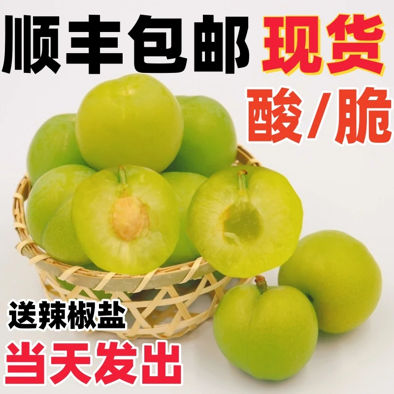 李子现货新鲜现摘现发酸脆孕妇水果当季三月李梨1-5斤顺丰包邮