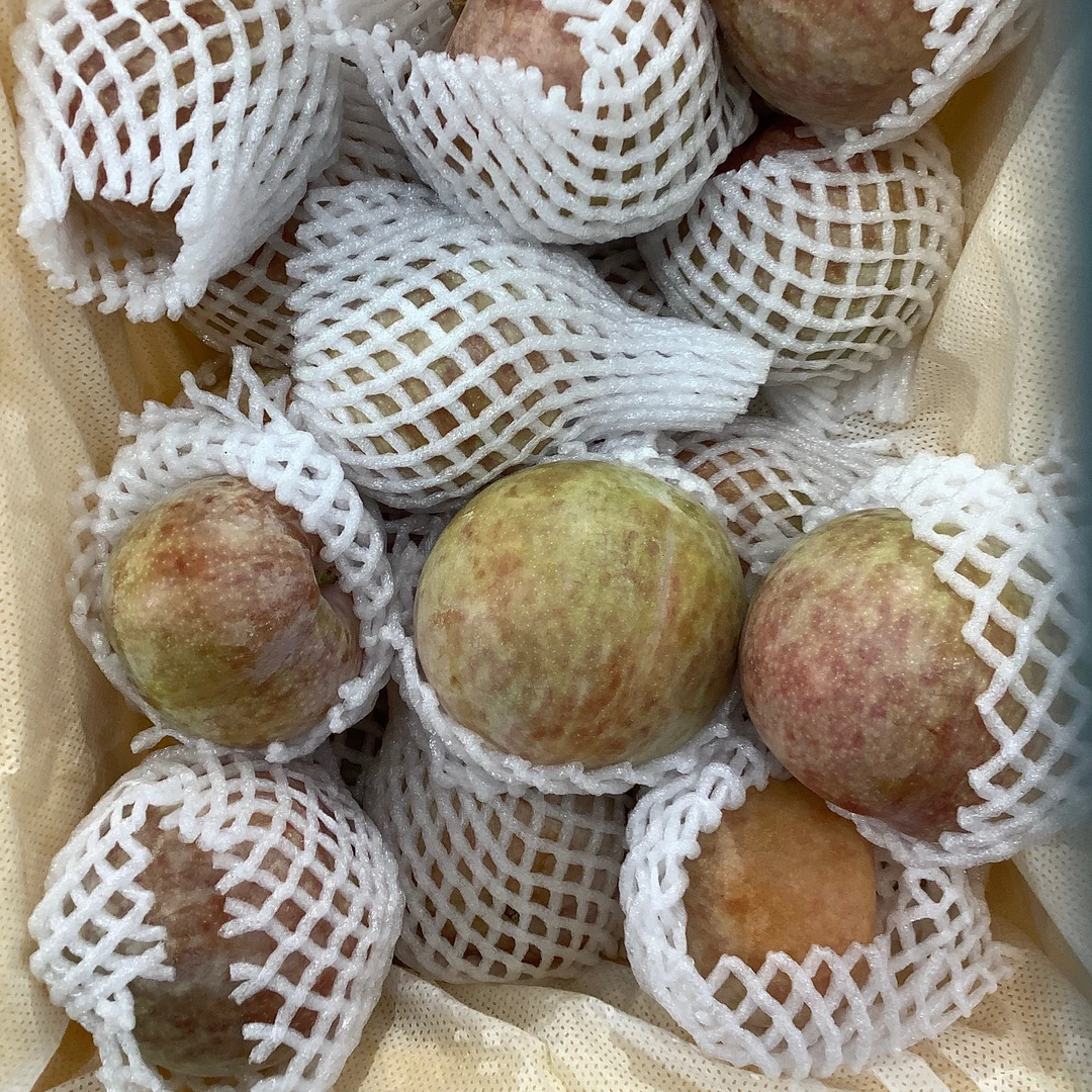 恐龙蛋李子