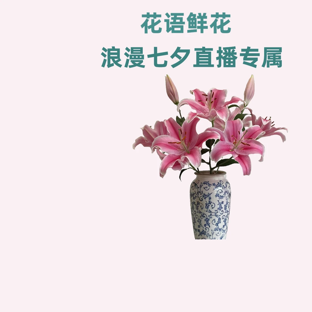 【云南花语鲜花】索尔邦单瓣百合 云南基地直发 顺丰包邮
