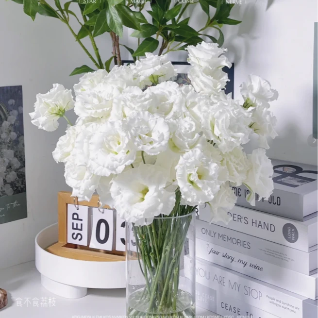 【花语鲜花】波浪白洋桔梗 云南鲜花