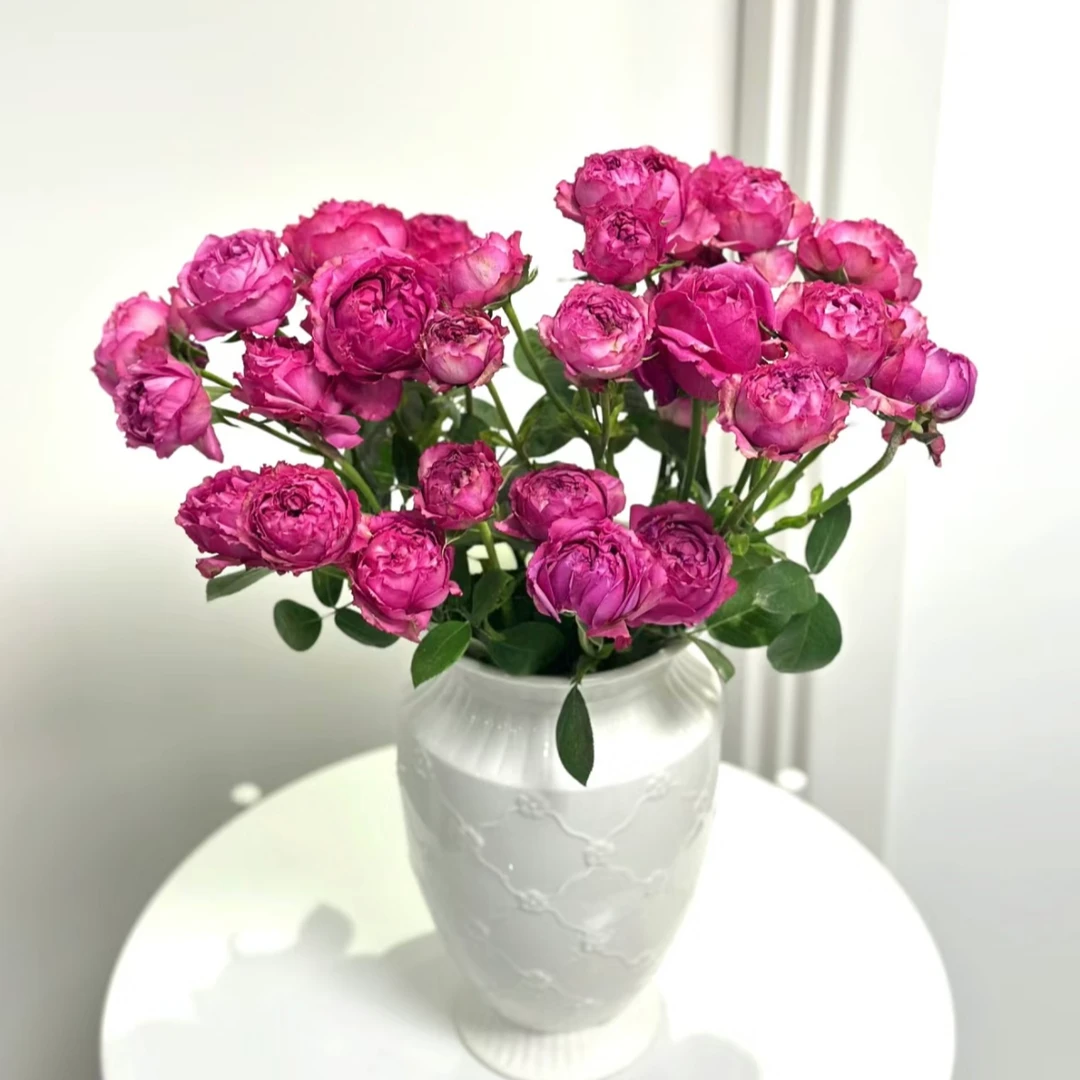 花语鲜花【紫雾多头玫瑰】云南鲜花 顺丰包邮