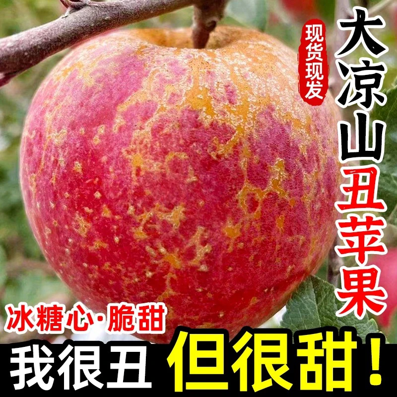 大凉山丑苹果（两斤）