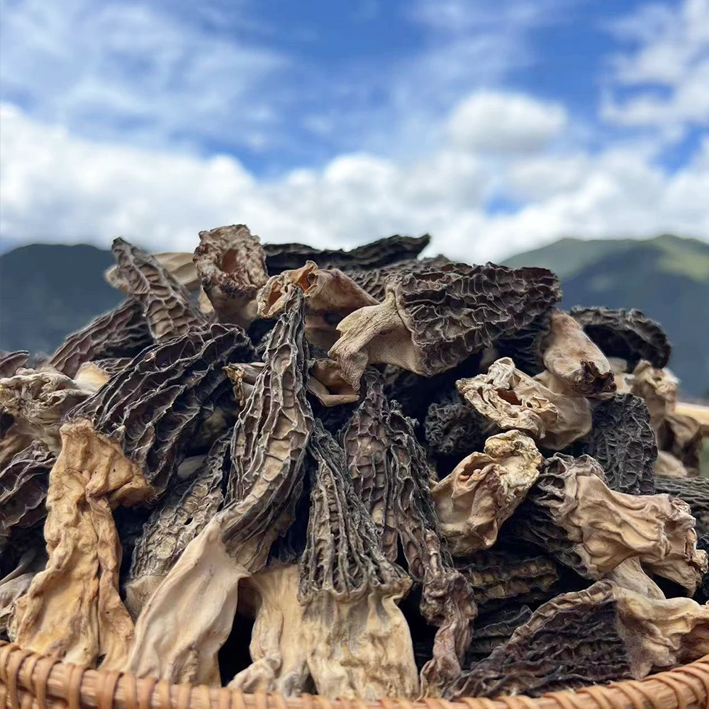 西藏发货高原羊肚菌100g自然晒干炖汤香味浓郁口感脆爽