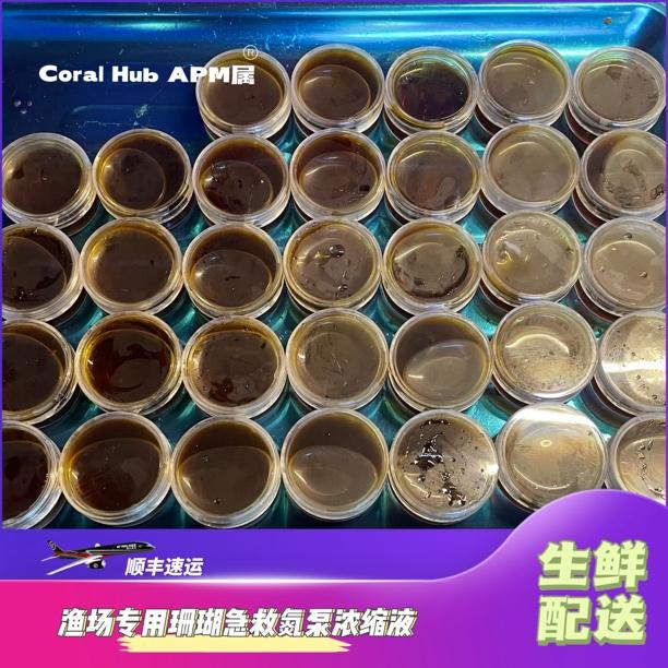 海缸珊瑚除菌杀菌渔场自用细菌感染布朗冻退共肉新手海缸益生菌