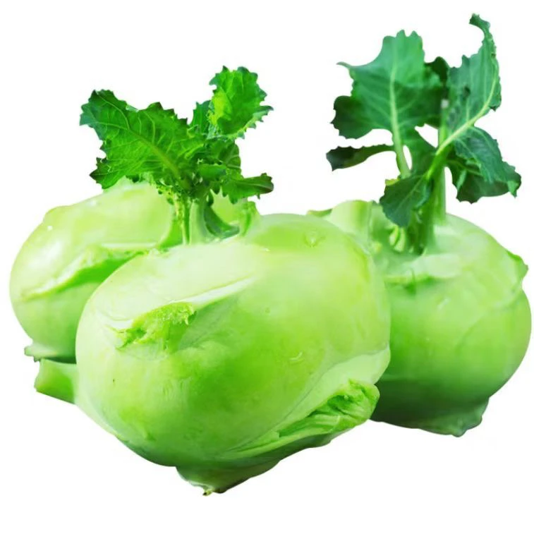 云南苤蓝新鲜大头菜芥兰芥菜头农家薄皮榨菜