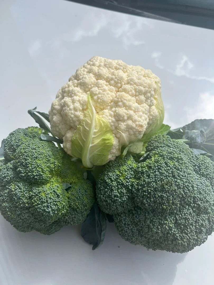 云南新鲜蔬菜西兰花白花混装农家自种新鲜5斤包邮
