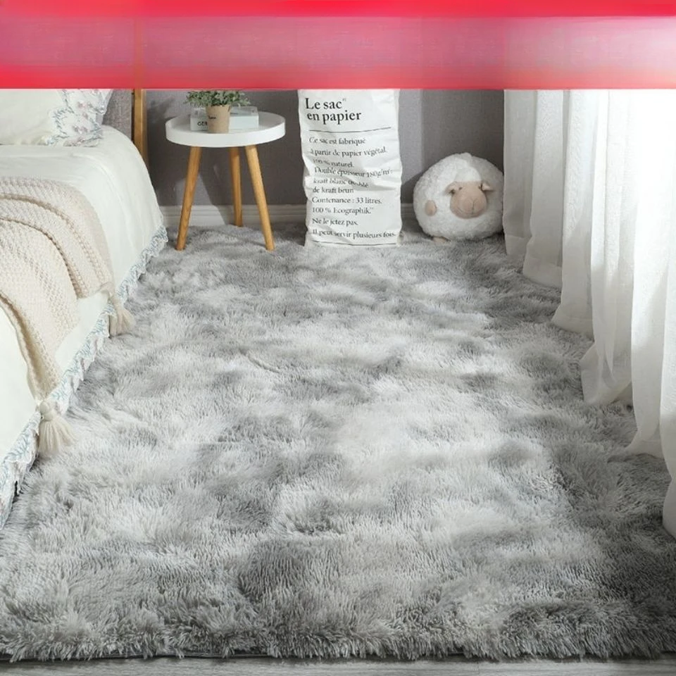 地毯卧室床边毯客厅满铺大面积毛毯地垫家用少女房间宿舍民宿垫子