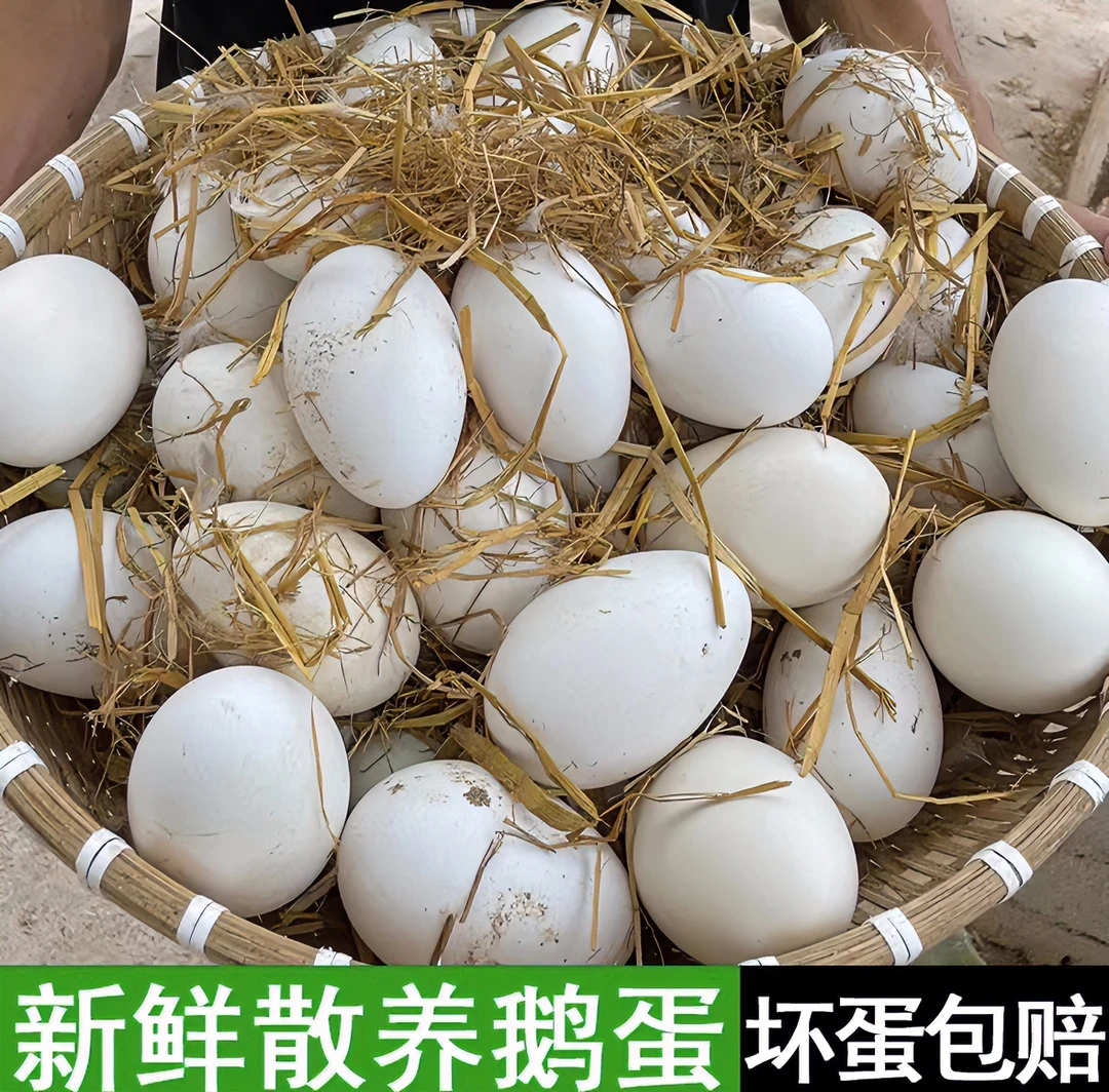 【英子专属】农家土鹅蛋12枚新鲜现捡现发单枚重120g左右整箱