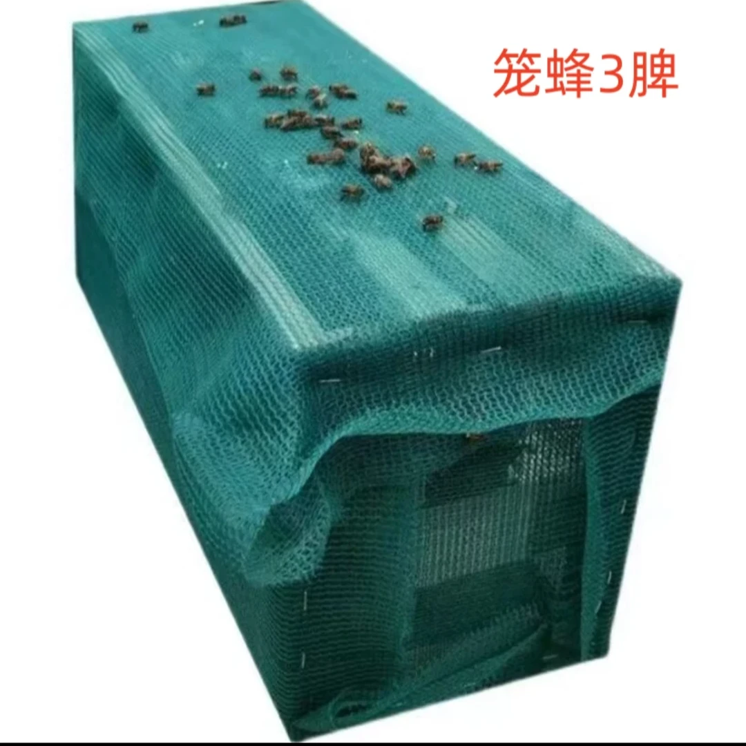 中蜂笼蜂土蜂带王带子脾笼子装