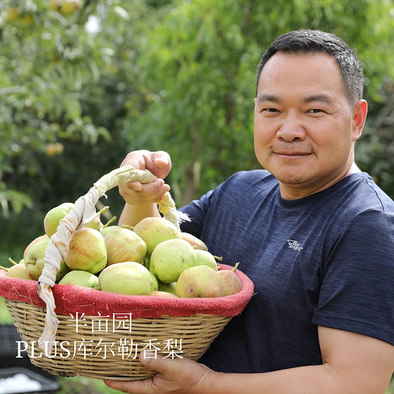 新疆PLUS 库尔勒香梨5斤