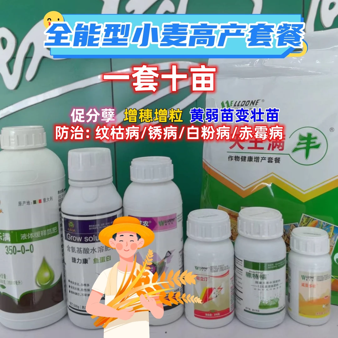 增强版小麦增产防虫防病抗倒组合套餐一喷三防小麦套装小麦专用肥