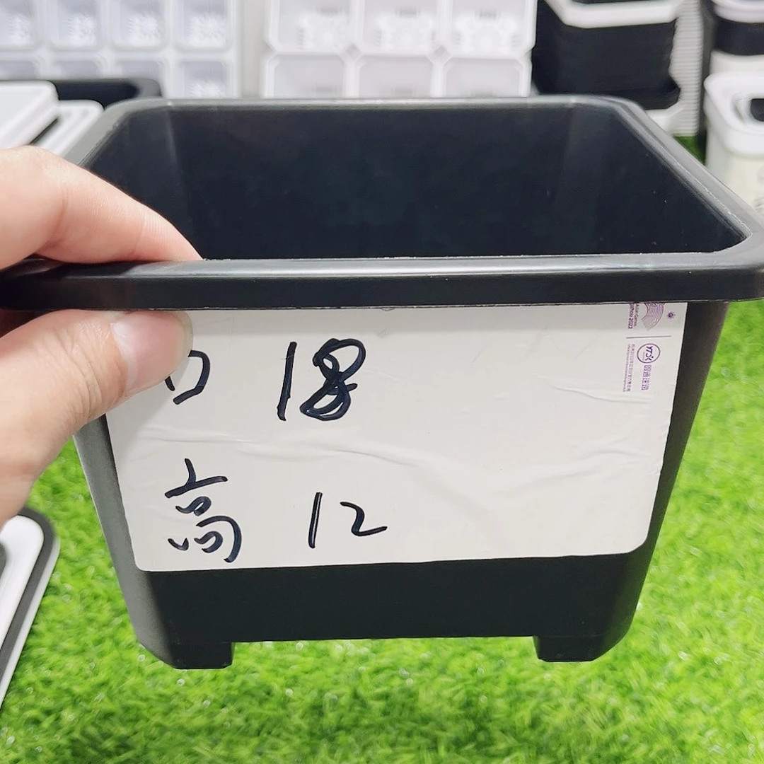 塑料20CM以下升级款景天18方黑色5个无托