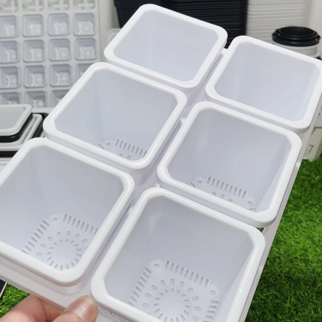 塑料20CM以下加厚景天10方带托架套装/2套