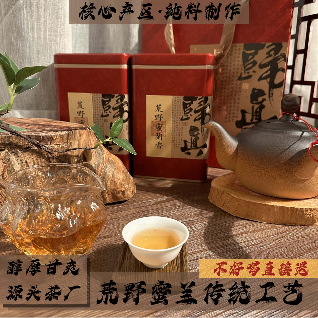 【50年老枞荒野蜜兰香】潮州凤凰单丛茶海拔八百米荒抛茶园自然生长