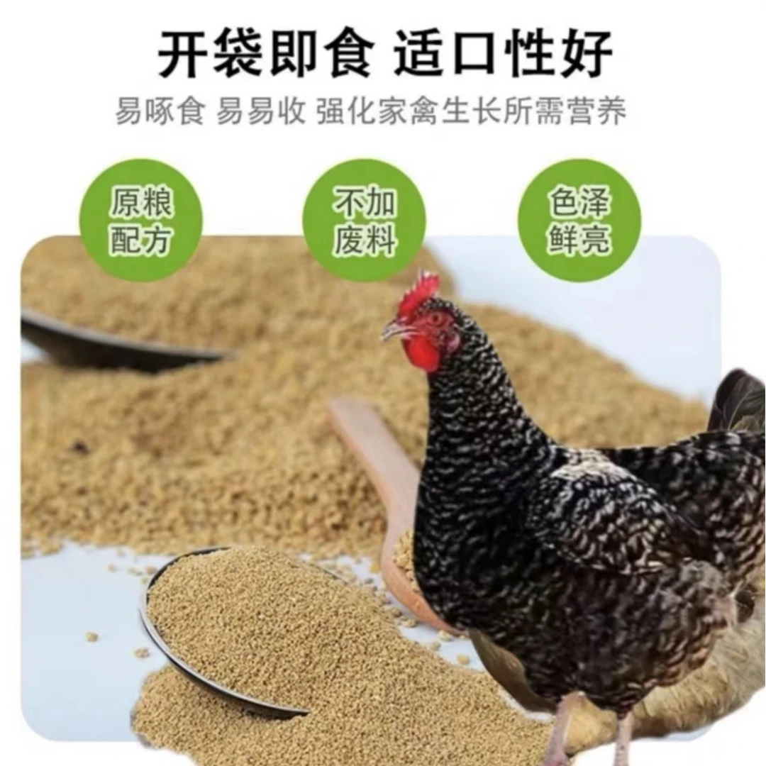 使用芦花鸡开口饲料健康饲养长势快好喂养厂家直销