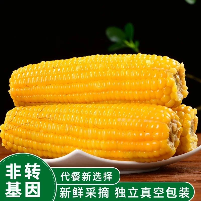 【丰收季】2024头茬 东北新黄糯玉米240g*10根（试吃两根)x