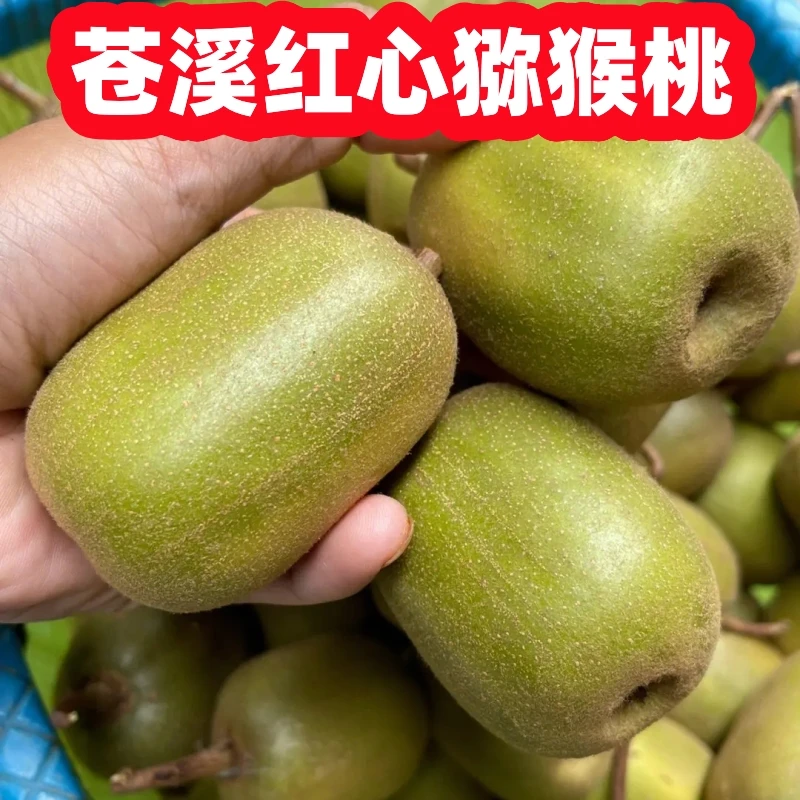 佳禾顺欣四川红心猕猴桃奇异果弥核桃弥猴桃应季净含量5-9斤装
