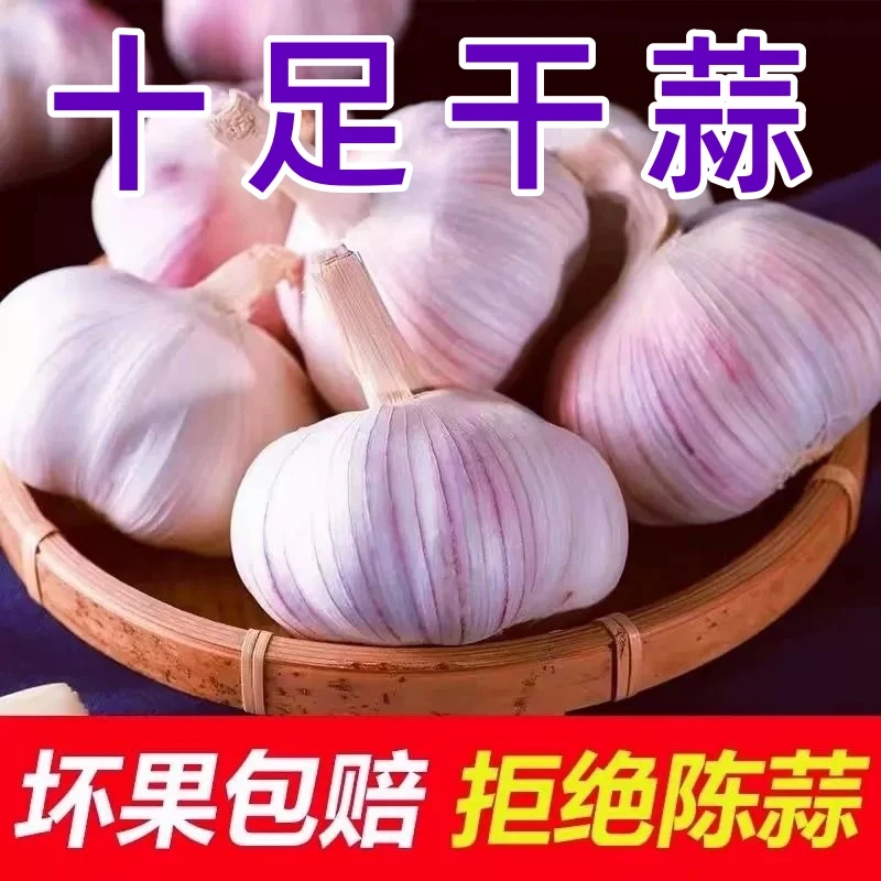 【宠粉】山东金乡正宗紫皮大蒜精选大蒜干蒜蒜头大蒜头新鲜批发包