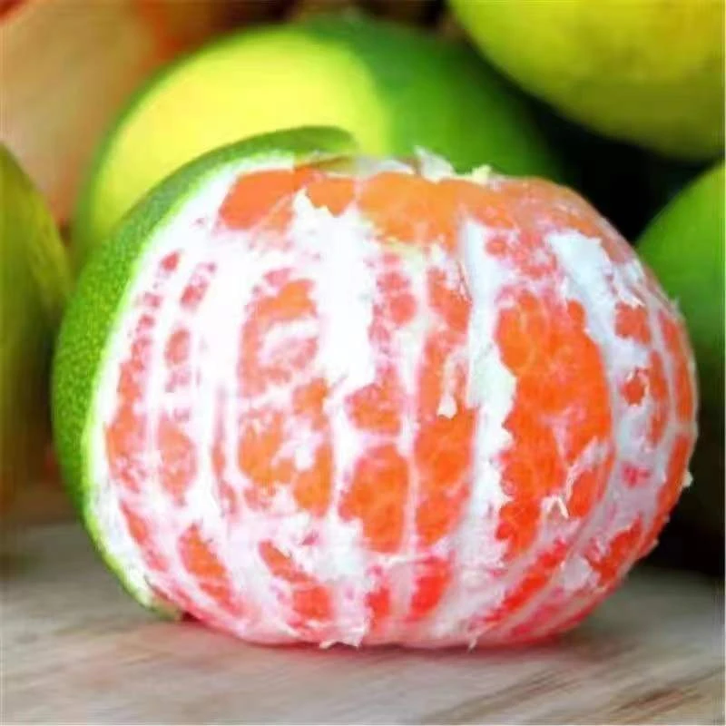 赣南寻乌无籽蜜桔新鲜酸甜爽口孕妇水果蜜橘