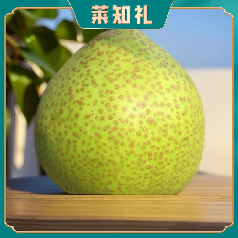 【莱知礼】莱阳梨新鲜清香脆甜莱阳慈梨正宗产地直发顺丰4.5斤6个装