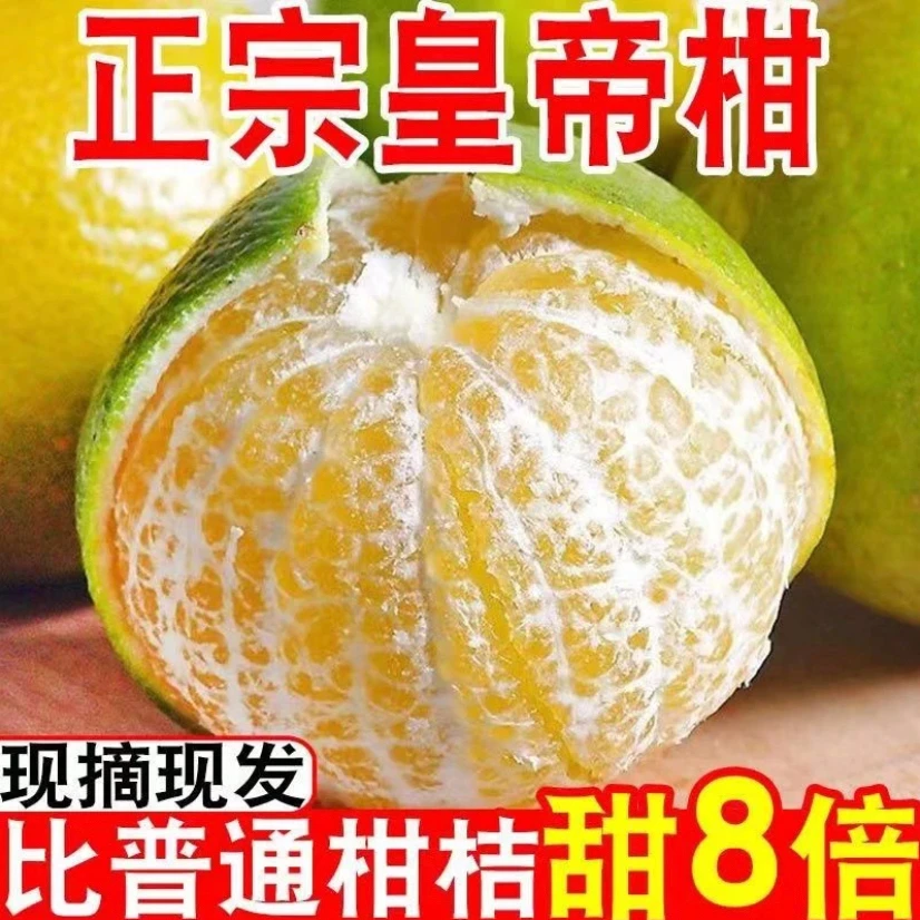正宗广西皇帝柑大果新鲜水果包邮整箱甜蜜桔橘子贡柑砂糖桔子