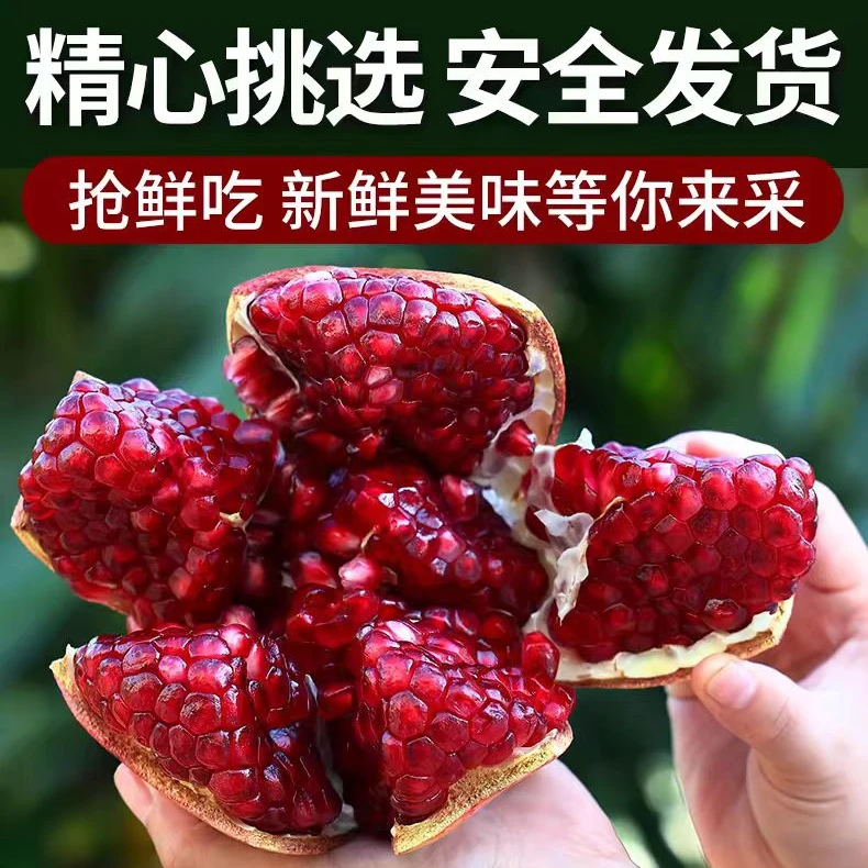 四川突尼斯软籽石榴新鲜采摘爆汁饱满