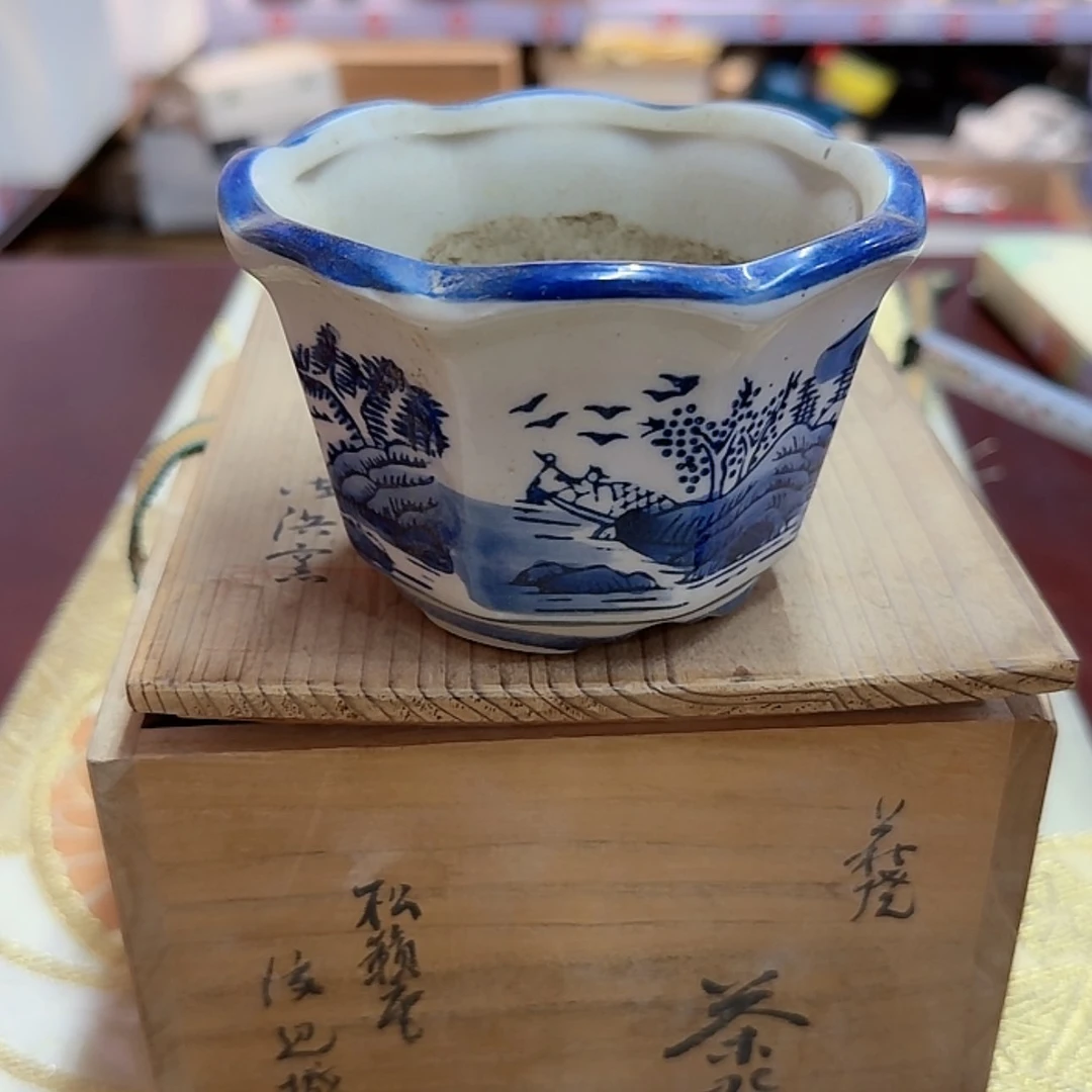 【闪购商品】镀金jjhhhhhhhhh