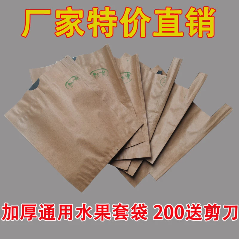 套梨专用套袋双层外黄内黑黄金梨结实苹果桃子水果袋防虫防鸟袋子