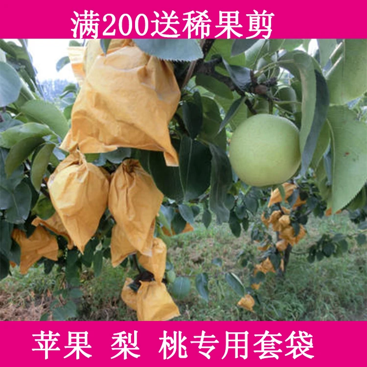 梨子套袋双层纸袋苹果桃石榴套袋子防鸟虫防雨方便蝇柑橘桔套袋子