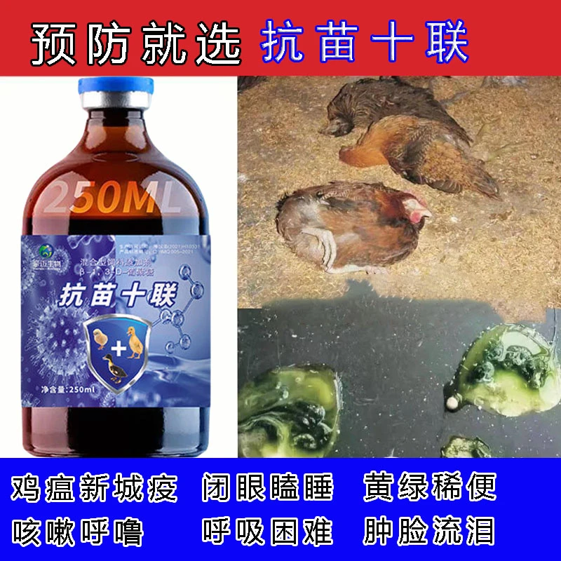 抗苗十联预防鸡瘟感冒肺炎打打蔫缩脖法氏囊