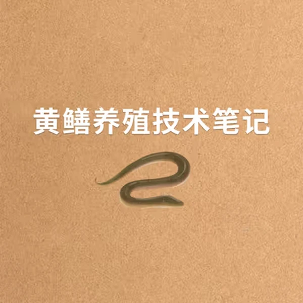 黄鳝养殖笔记(黄鳝养殖学习专用)