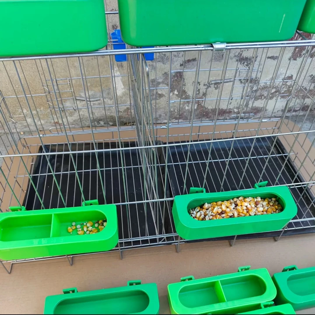 鸽子两用塑料挂盒