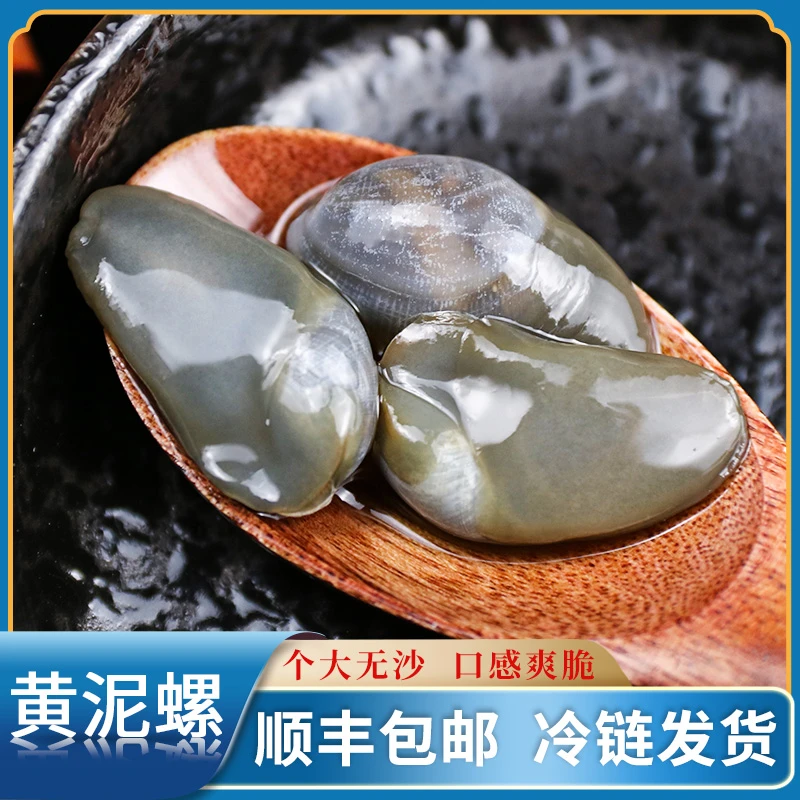 舟山泥螺皇醉泥螺280g/罐即食罐装宁波生腌泥螺特大号原味