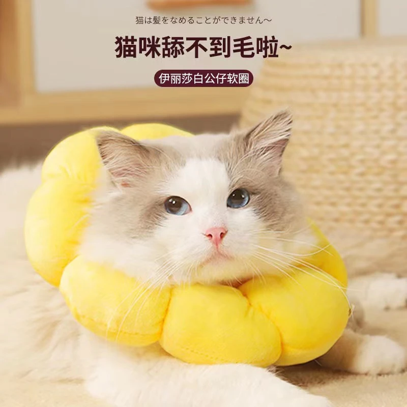 伊丽莎白圈猫项圈猫咪项圈绝育高颜值牢固防舔舒适宠物项圈猫脖圈