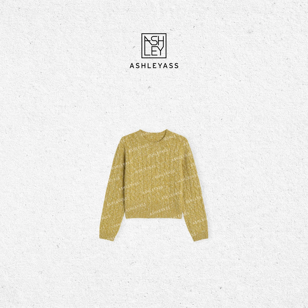 【ASHLEYASS】满分绵羊毛姜黄杂色圆领毛衣秋冬打底毛衫LSS241797S
