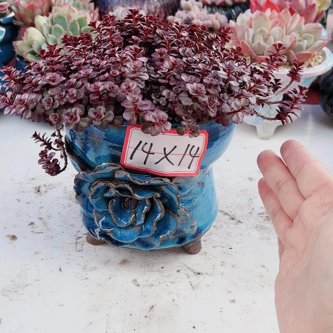 【闪购商品】陶瓷默认微瑕