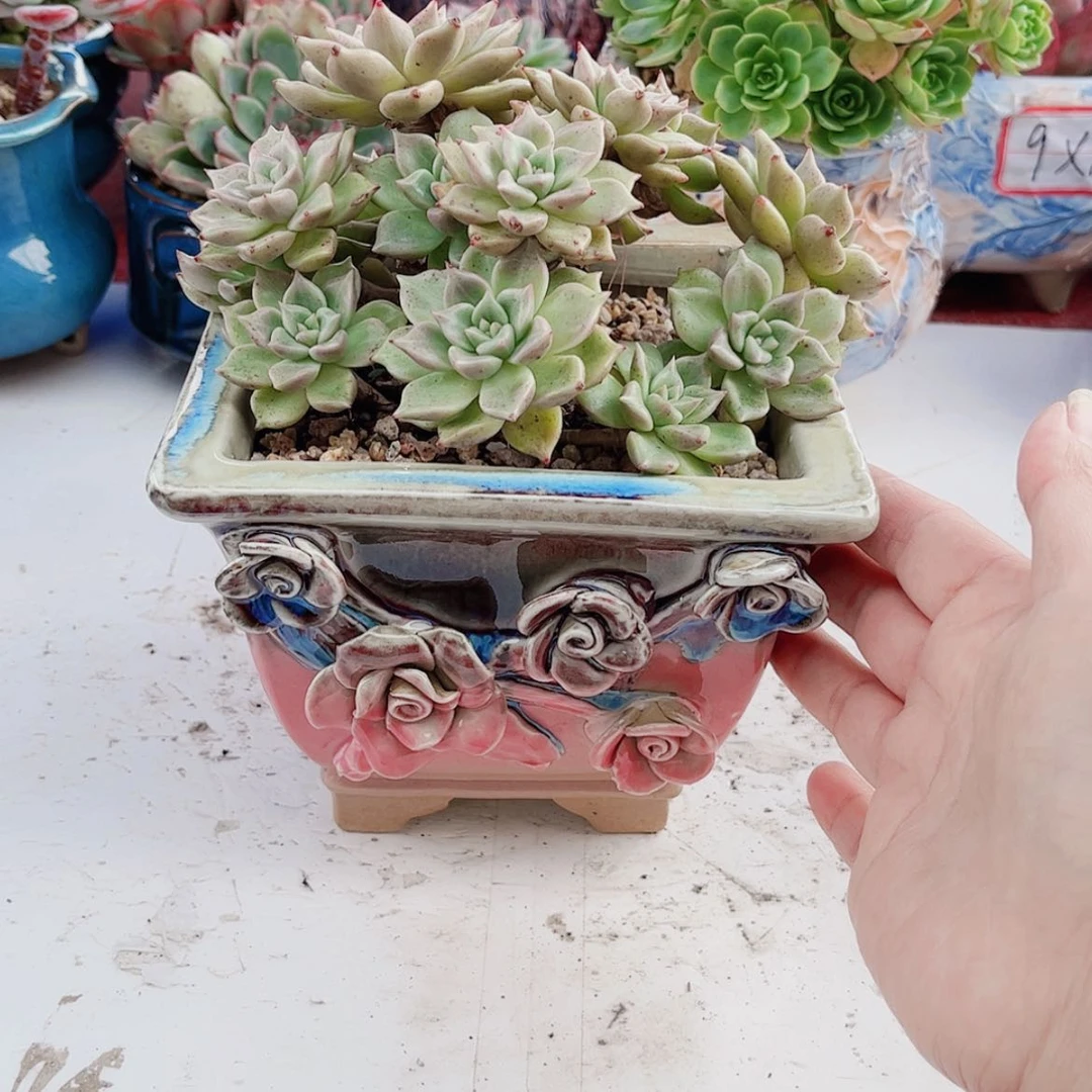 【闪购商品】陶瓷默认微瑕