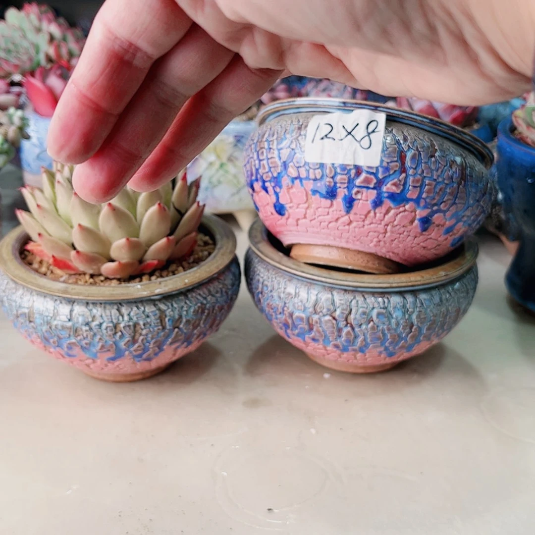 【闪购商品】陶瓷默认微瑕