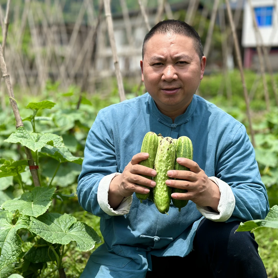 【重庆新鲜应季蔬菜】走村代购农家种植散装称重（不支持无理由售后）