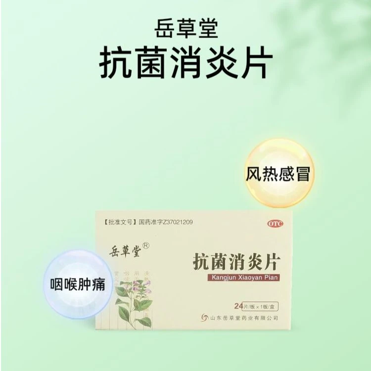 岳草堂抗菌消炎片24片清热泻火解毒牙痛风热感冒咽喉肿痛儿童发热