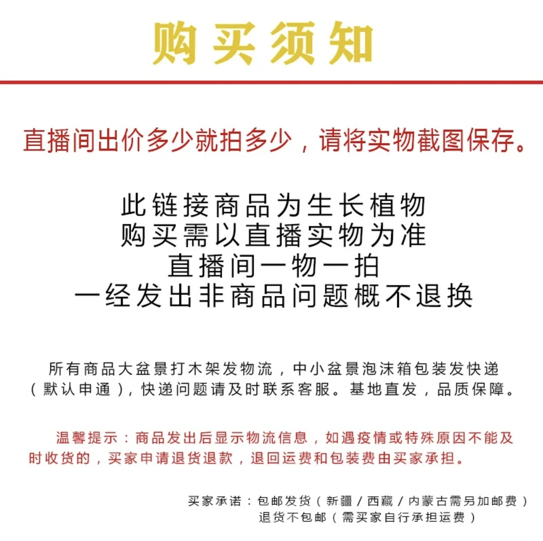 老桩山采赤楠 紫薇