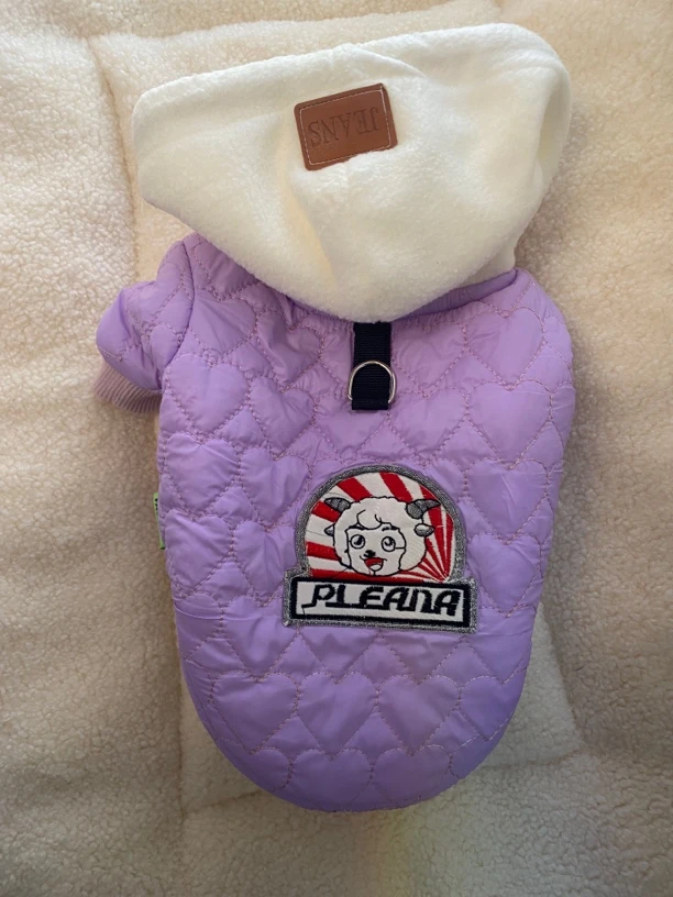 原创韩版宠物休闲棉衣可牵引