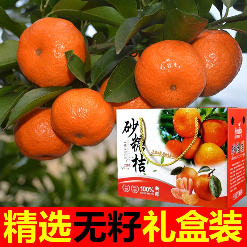 【顺丰包邮】正宗广西砂糖橘沙糖桔新鲜水果现摘现发橘子桔子5斤